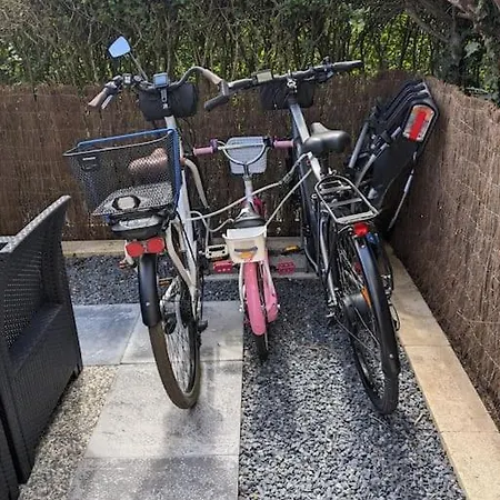 Daire Cosy En Rez-de-jardin Avec Terrasse Proche De La *